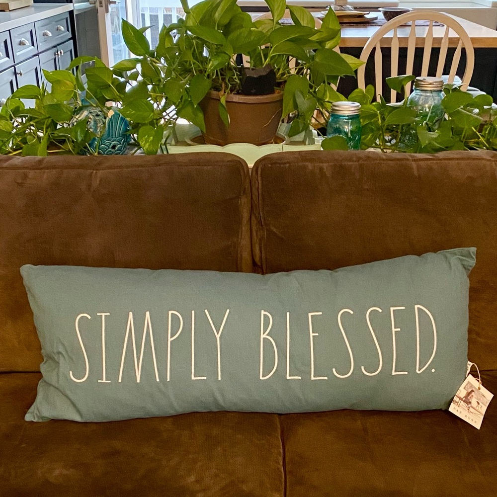 Rae Dunn “ SIMPLY BLESSED” Pillow